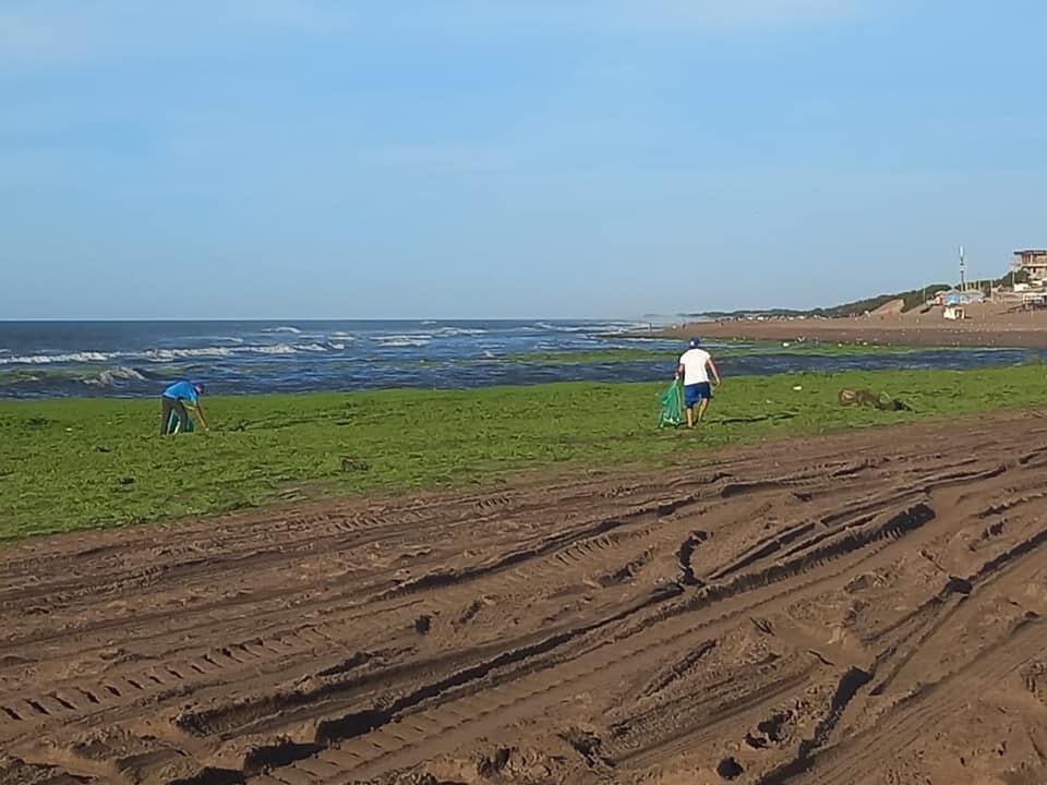 Ola Verde en las playas de Claromecó