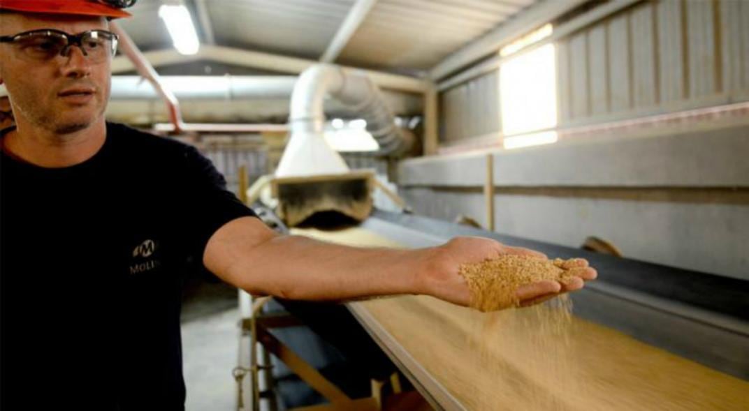 MOLIENDA. Las plantas de Córdoba procesaron 2,2 millones de toneladas de pellet y aceite de soja.