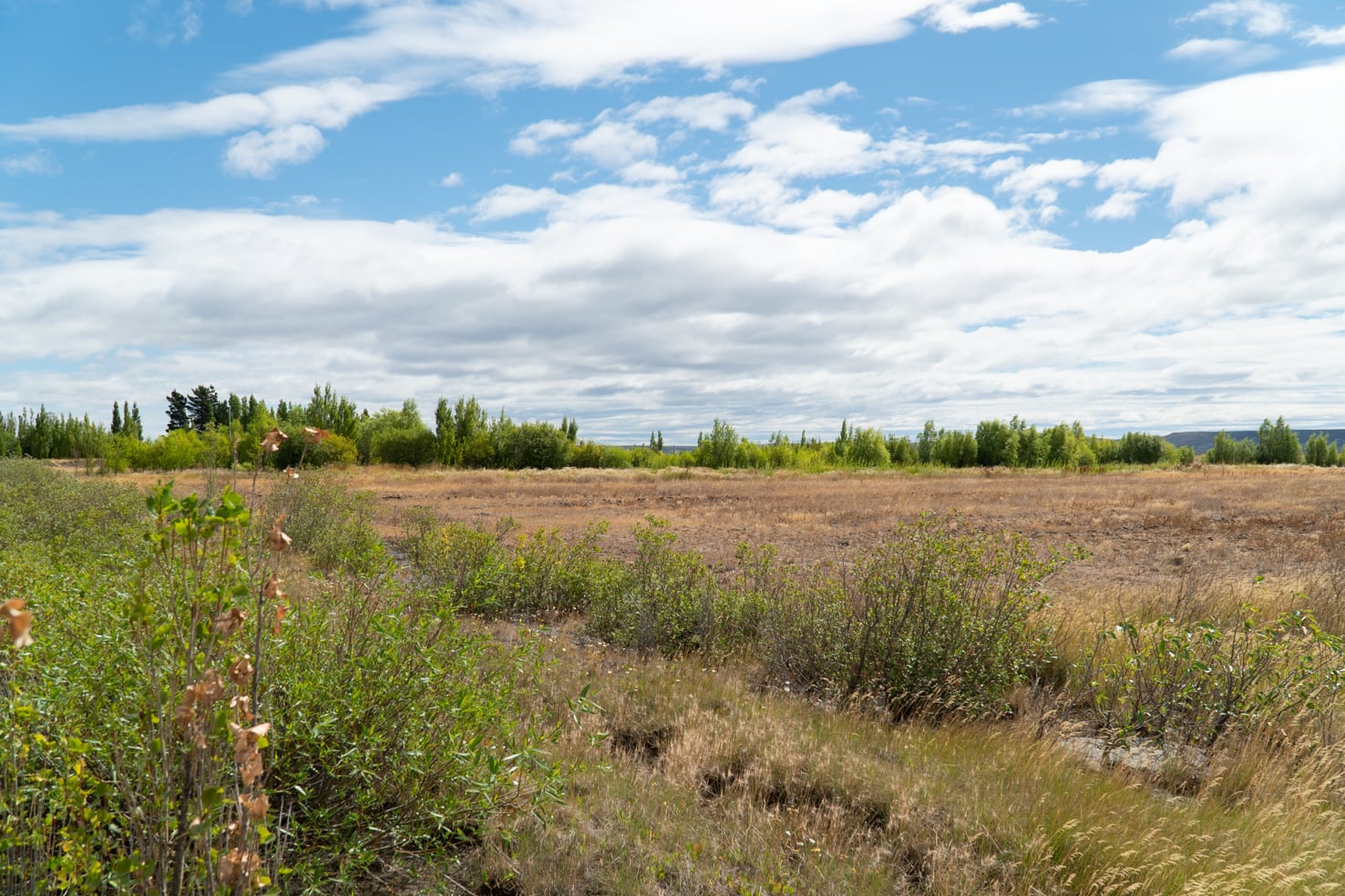 Autoridades provinciales recorrieron el predio donde se construirá el futuro polo tecnológico