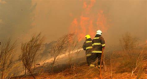 Incendio de la Selva Misionera en noviembre del 2020