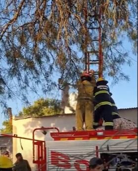 Una niña de 7 años quedó atrapada en un árbol luego de la explosión. Foto: El Doce.