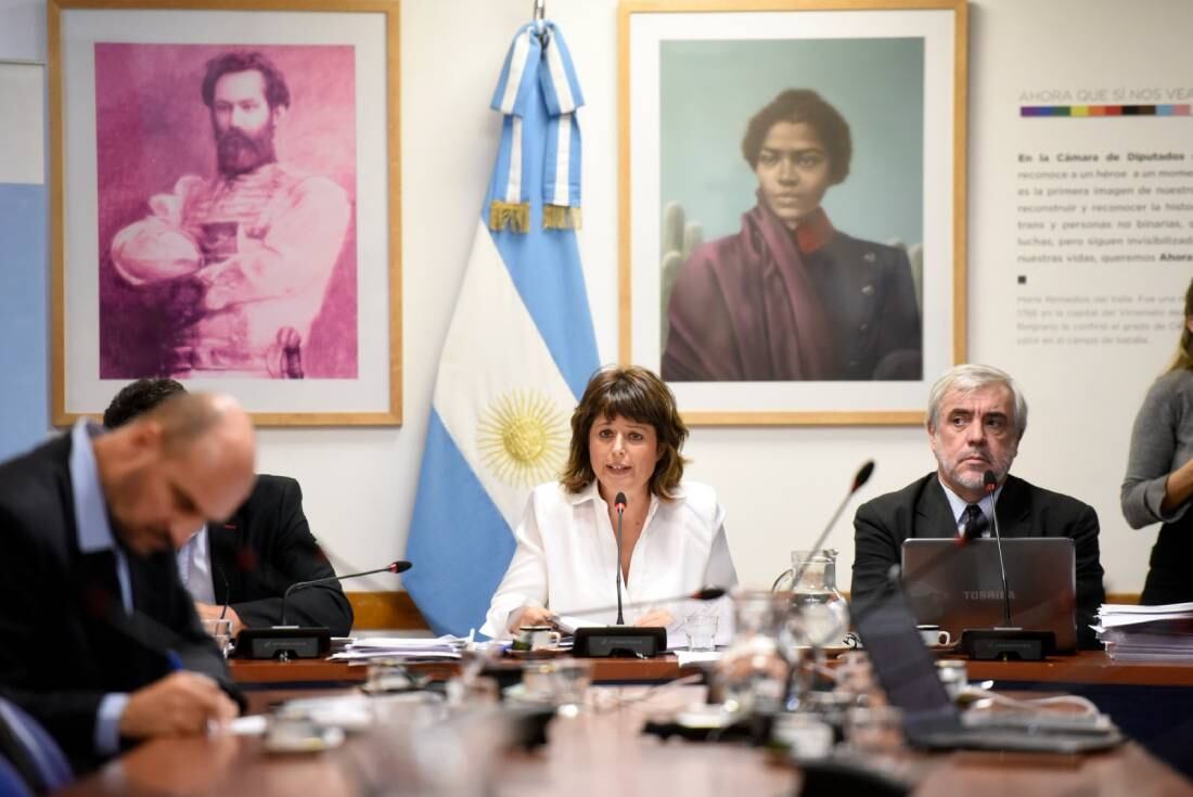 comision juicio politico carolina gaillard