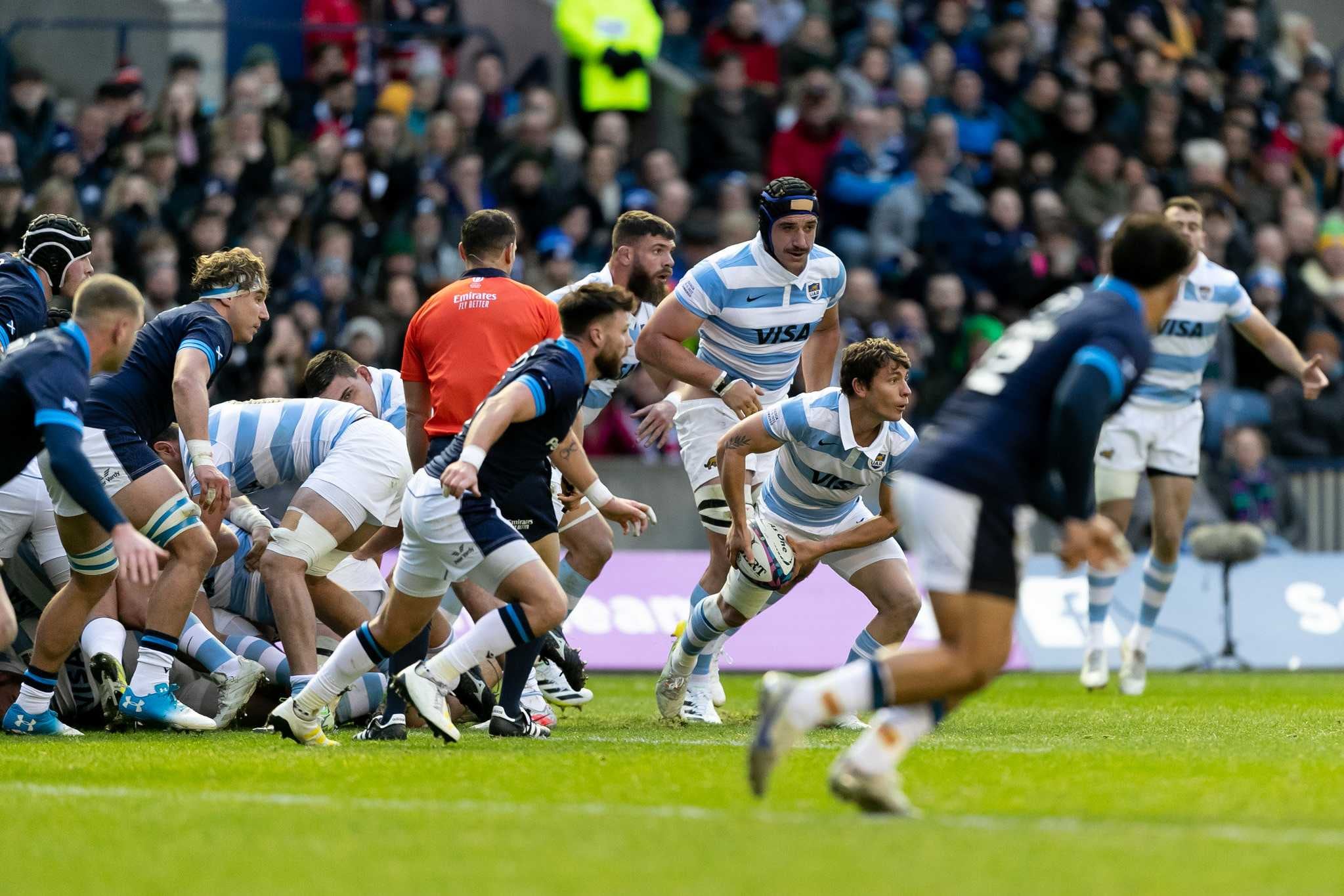 Cierre de temporada para Los Pumas frente a Escocia. (Prensa UAR)