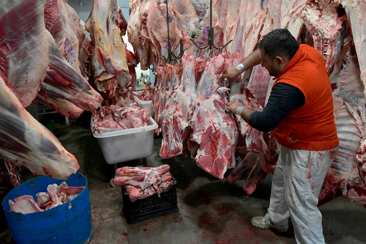 Cuáles son los 7 cortes de carne que el Gobierno prohibió exportar