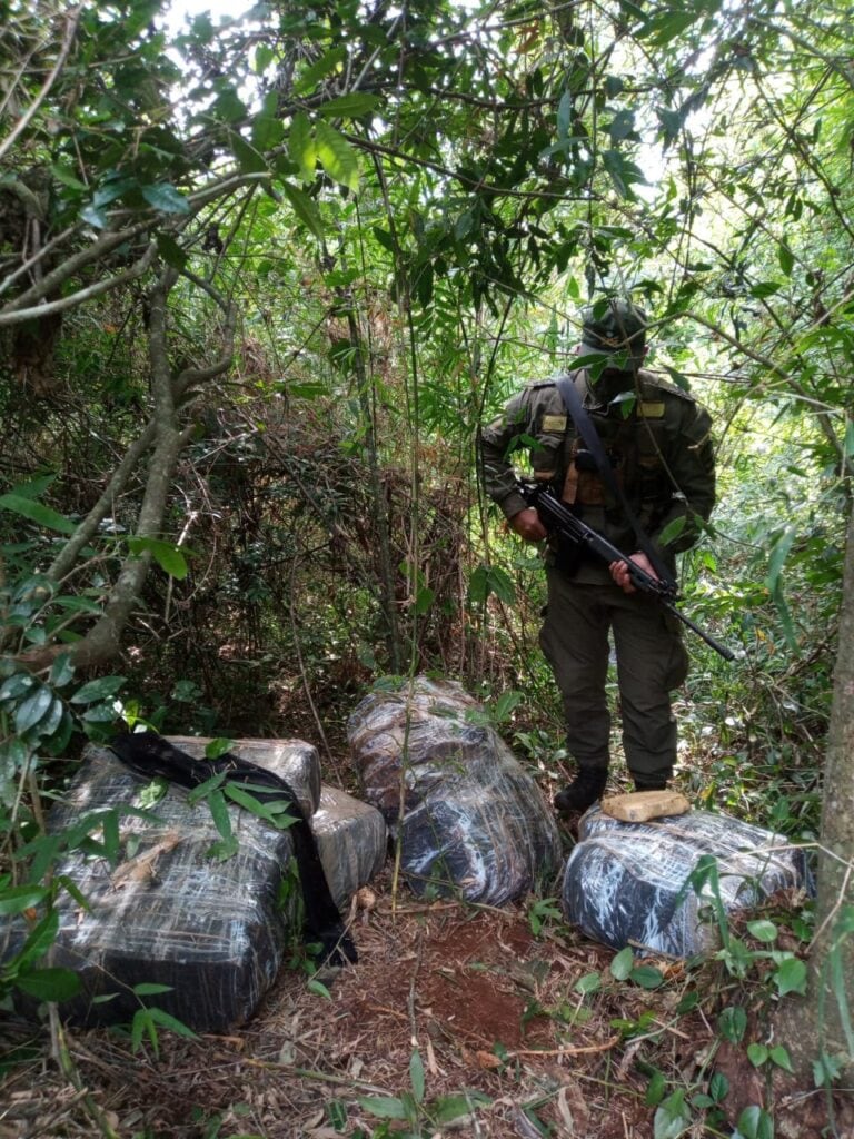 Secuestran marihuana en Colonia Delicia.