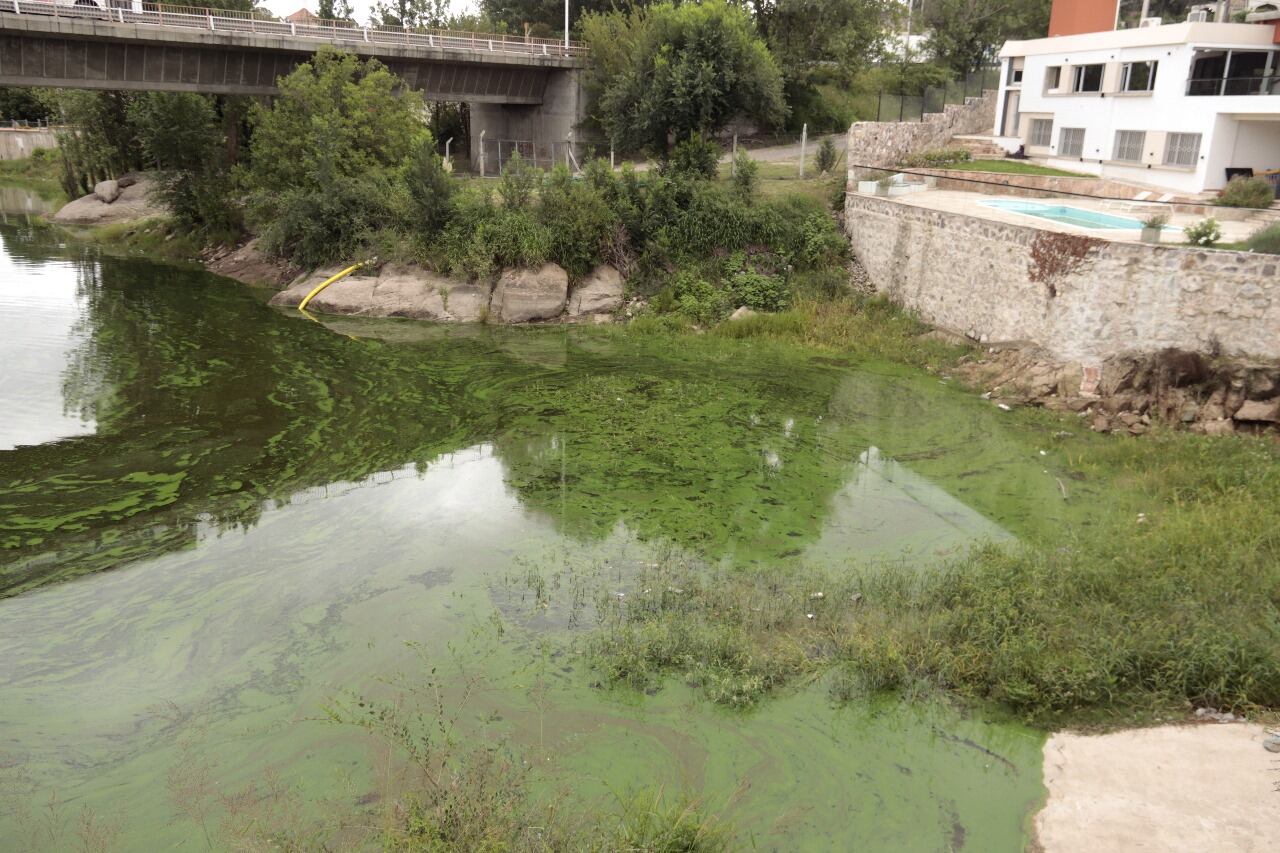 El Municipio de Villa Carlos Paz le exigió al Gobierno Provincial que se extraigan de manera urgente las cianobacterias y ejecute un protocolo de acción sobre el lago San Roque