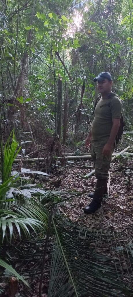 Parque Provincial Puerto Península: frenan apeo ilegal de palmitos.