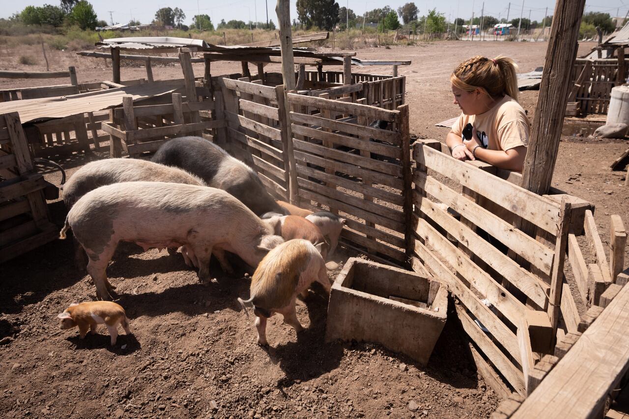 Ricardo Buryaile explicó a Vía País los efectos de la sequía en el sector ganadero del campo.
 
Foto: Ignacio Blanco / Los Andes