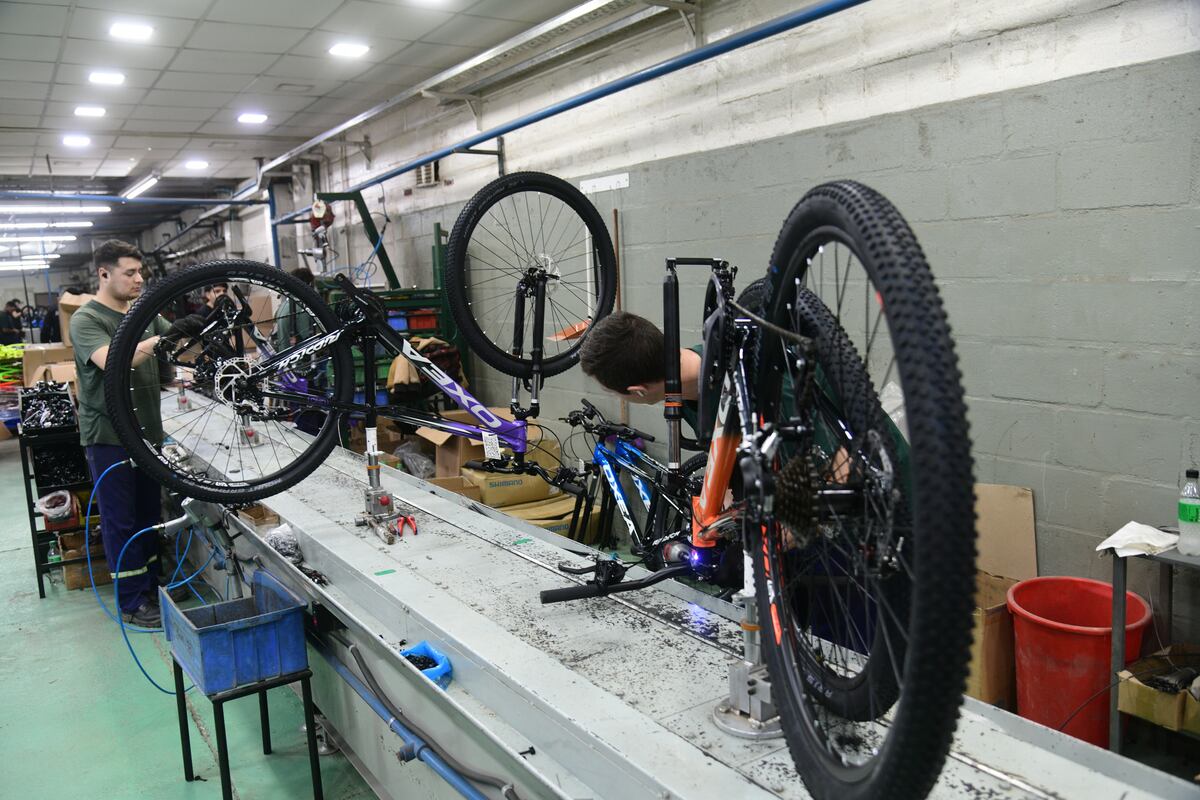 La fábrica de bicicletas más grande del país está en Córdoba: cómo es la historia de Tomaselli