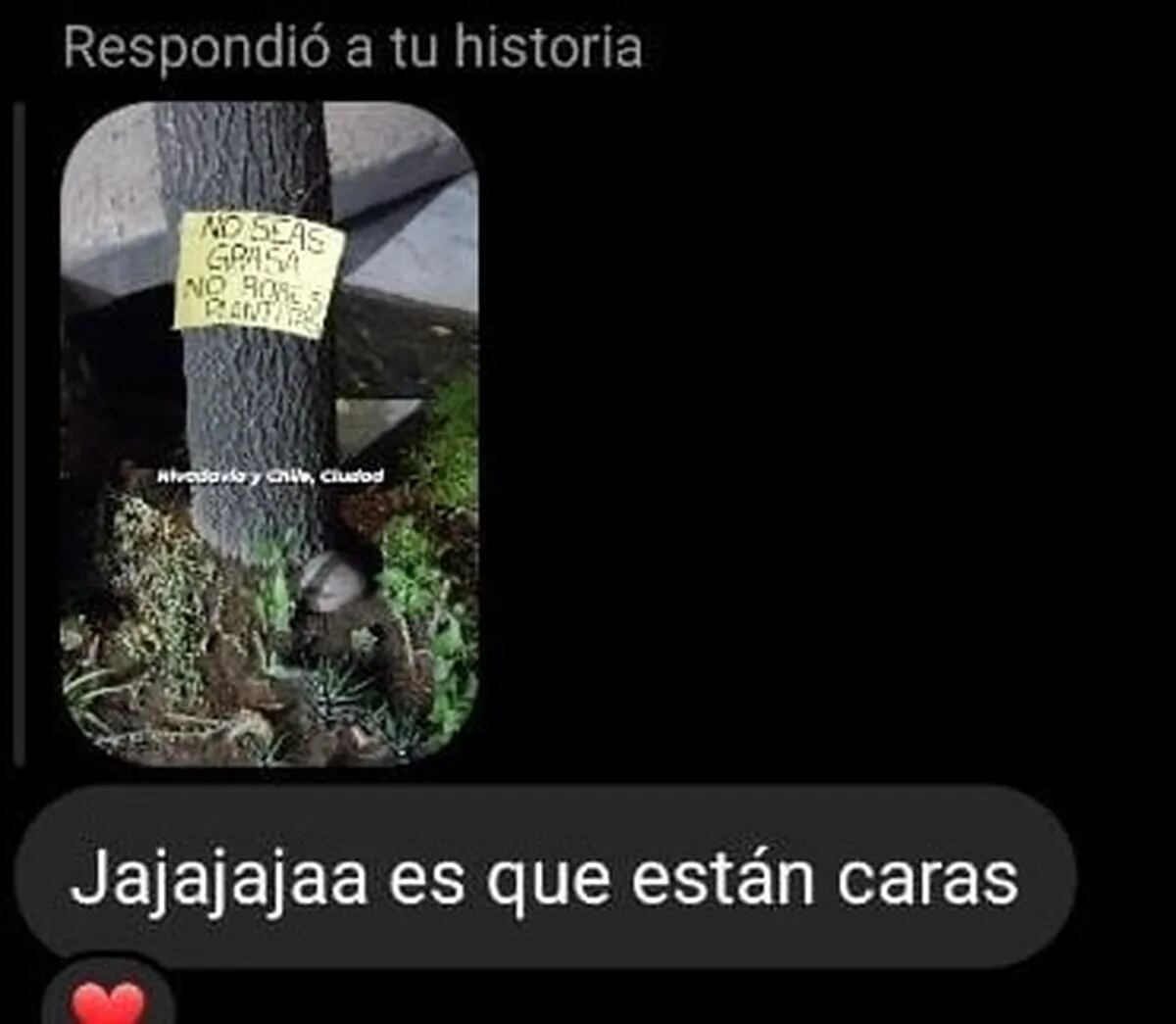 Comentarios sobre el cartel de las plantitas robadas en Ciudad.