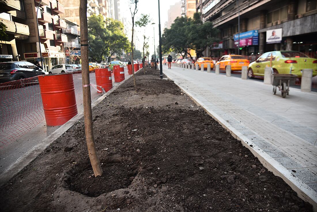 Comenzó la plantación de árboles en el tramo nuevo del bulevar Chacabuco. (Pedro Castillo / La Voz)