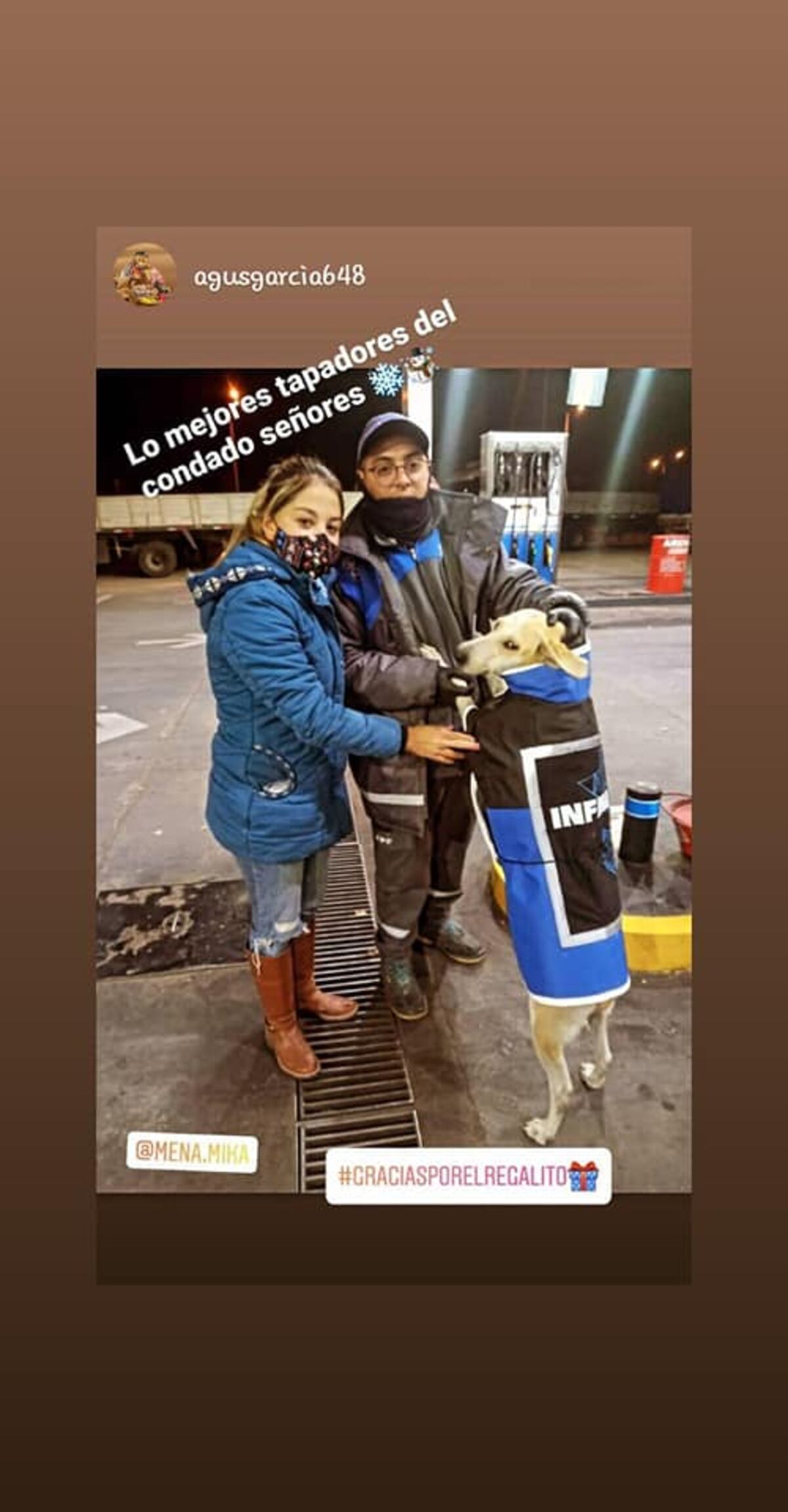 Rubia, la perrita que fue adoptada por empleados de una estación de servicio
