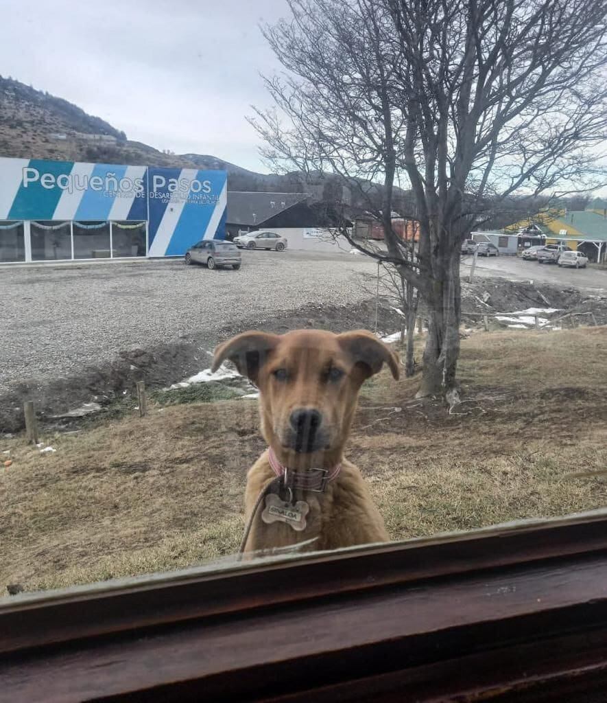 “Zoonosis más Cerca” en el Valle de Andorra