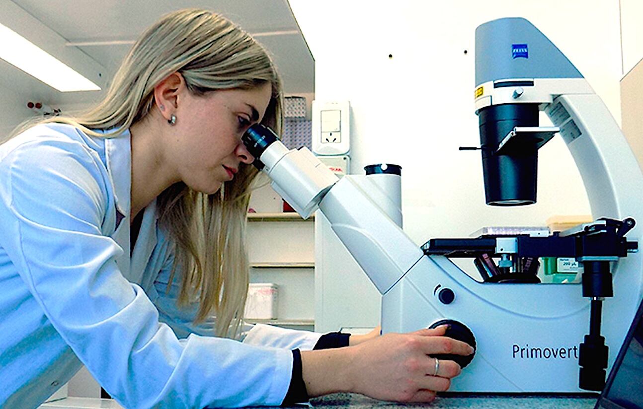 Laura Homann observando material en el microscopio. Foto: Pía Squarcia/CCT Bahía Blanca.