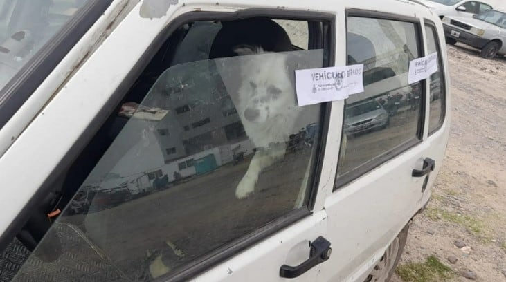 Después de que su dueño estacionara el auto en las vías del tren, el perro quedó encerrado adentro.