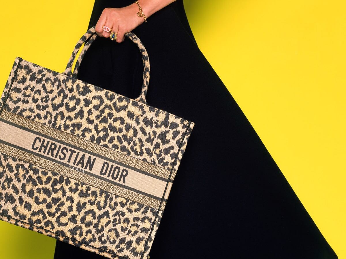 La Book Tote de Christian Dior.