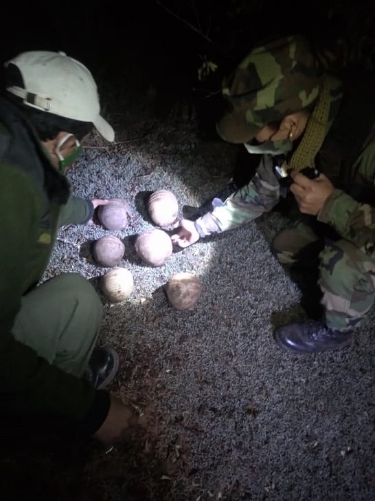 Además, se rescataron cinco pecaríes sin vida y cuatro armas de fuego.