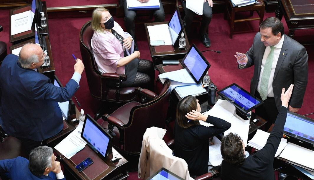 Momento en el que el senador Guillermo Snopek (FdT - Jujuy) abandonó su banca para discutir acaloradamente  con sus pares del bloque radical, entre ellos los senadores por Jujuy Mario Fiad y Silvia Giacoppo.