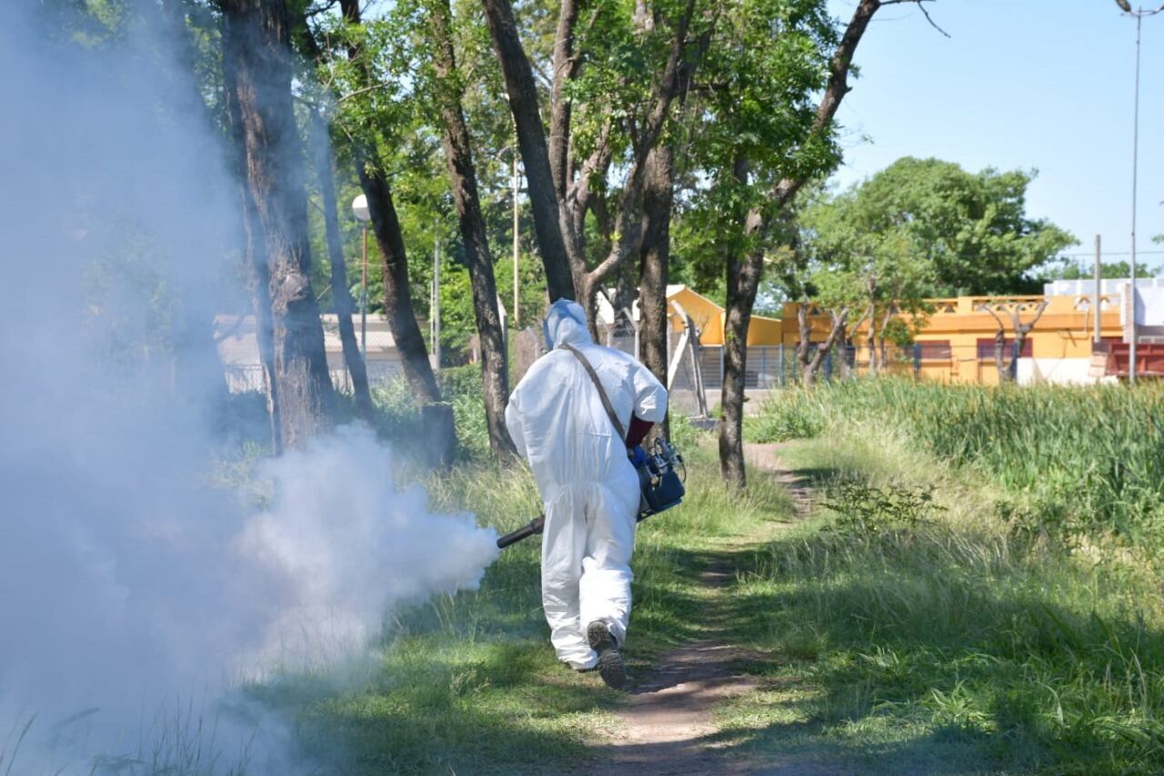 El dengue llegó a Córdoba antes de lo esperado.