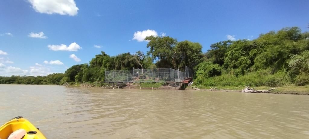 El Parque Nacional El Impenetrable en Chaco, donde se realiza el proyecto con Rewilding.