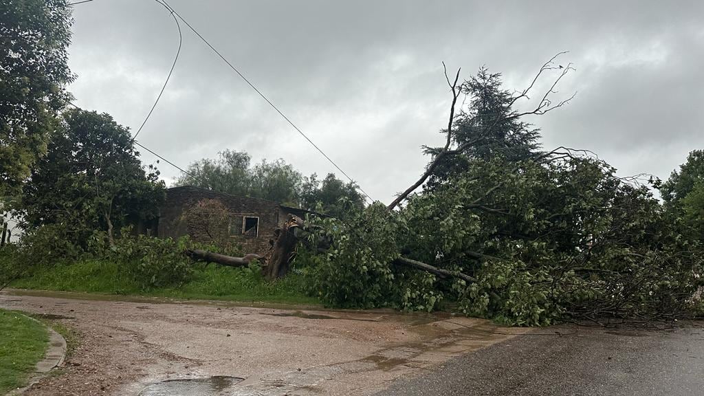 Rigen alertas naranjas y amarillas por tormentas para 10 provincias.