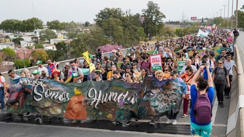 De Rosario al Congreso, ambientalistas pedirán la aprobación del proyecto de la ley de humedales.