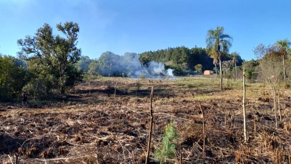 Eldorado: la policía logró evitar la usurpación de un terreno.