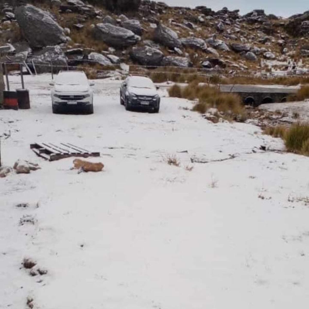 Friazón en Córdoba: volvió a nevar en las Altas Cumbres