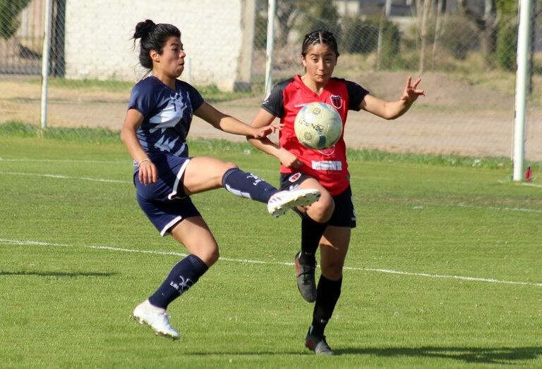 Las Pumas- La Consulta.