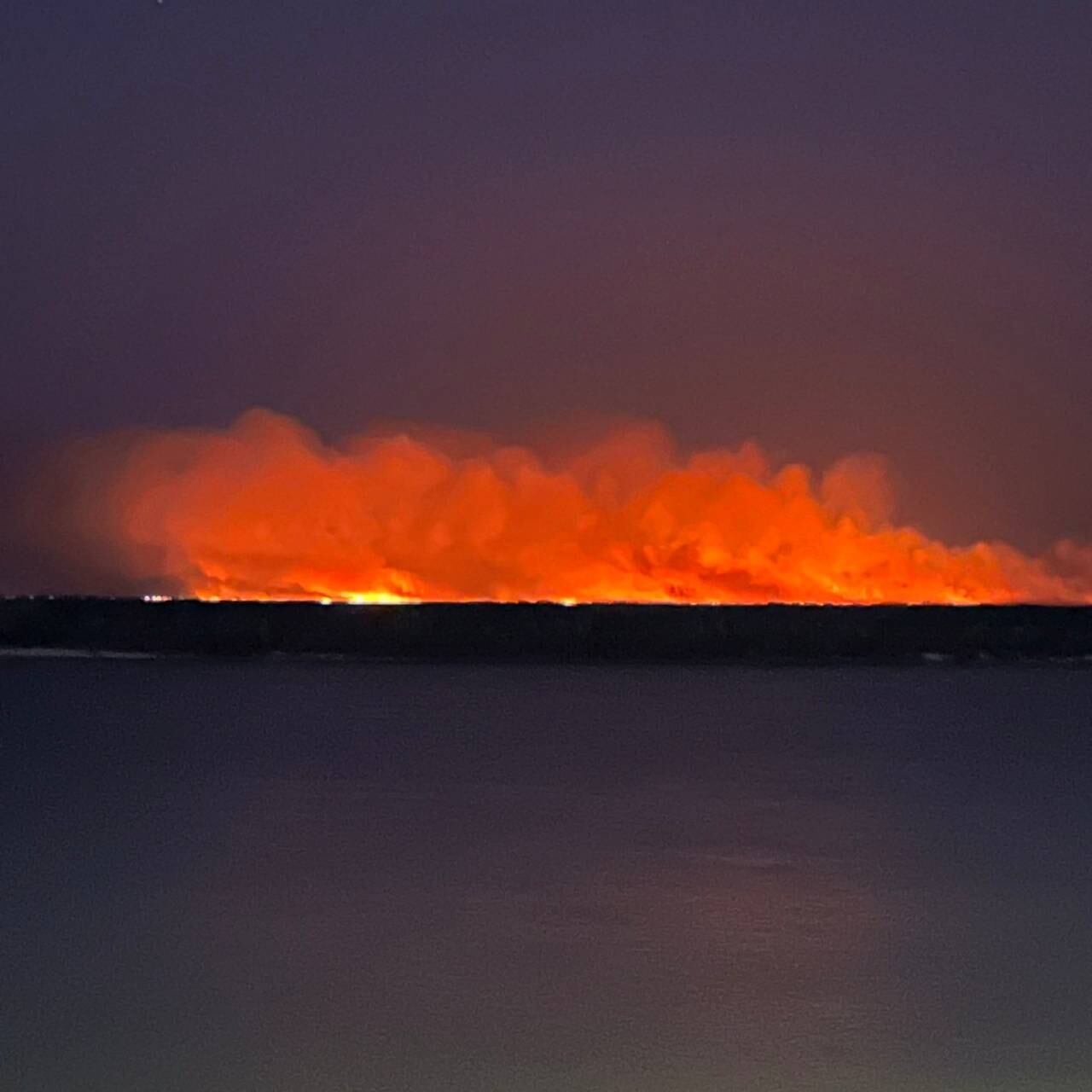 Los incendios en las islas del Delta del río Paraná contaminan el aire y destruyen la biodiversidad.