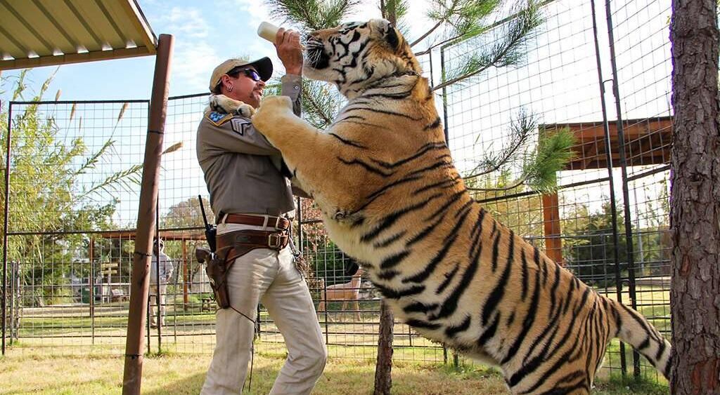 Joe Exotic en una de las escenas de "Rey tigre" (Netflix).