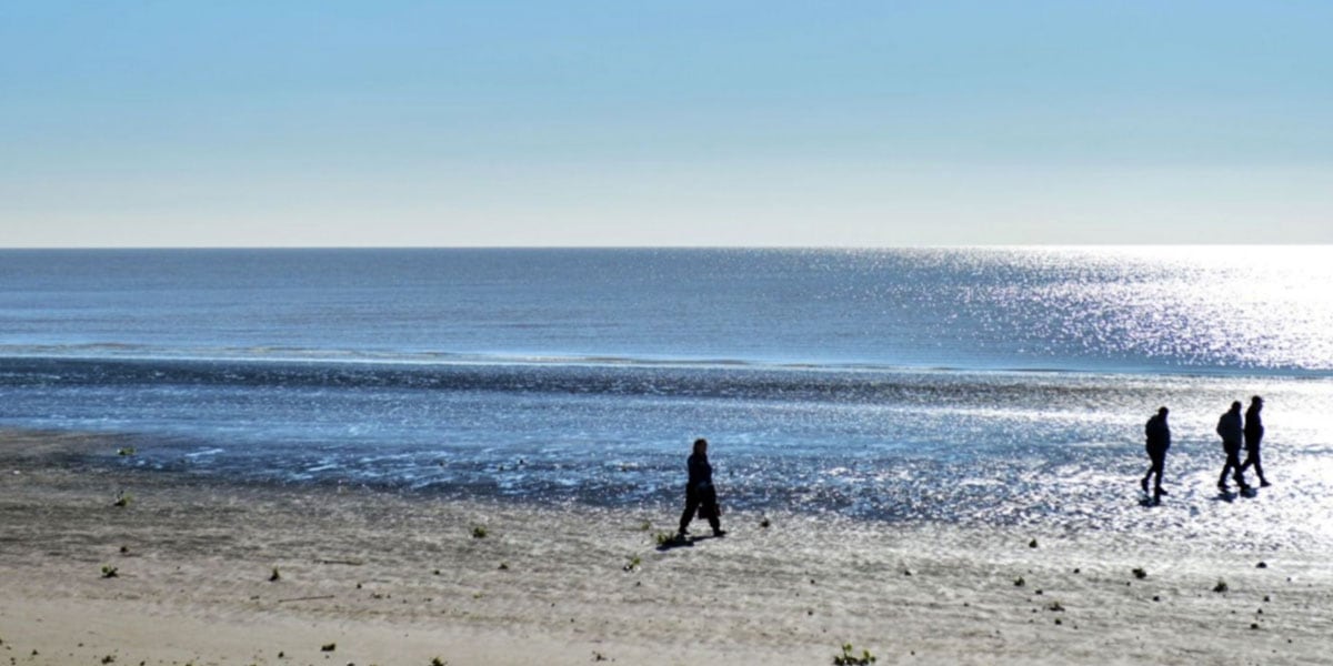 Las playas de Punta Lara, una joya que deberás conocer.