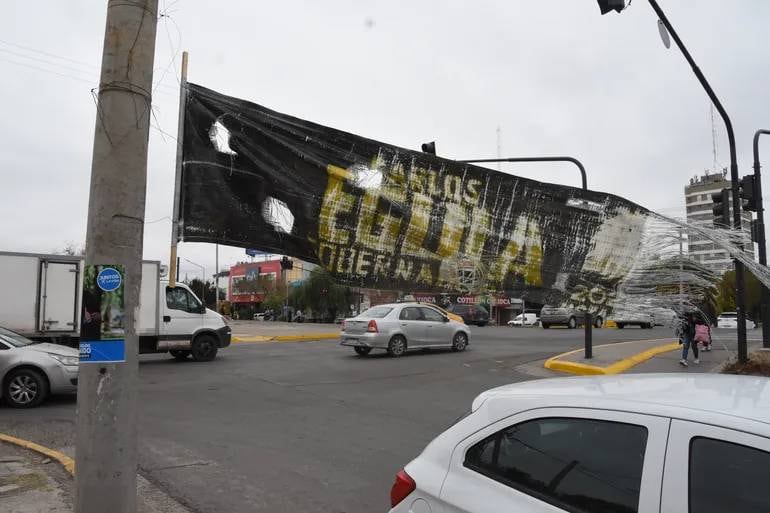 Los carteles de los políticos para estas elecciones de Neuquén que la vecina pide para sus perros rescatados.