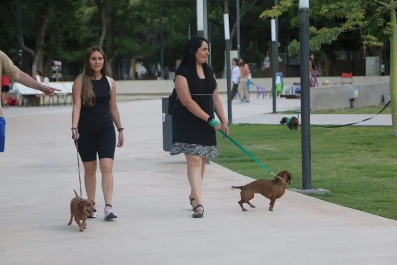 Salchi Encuentro en San Juan