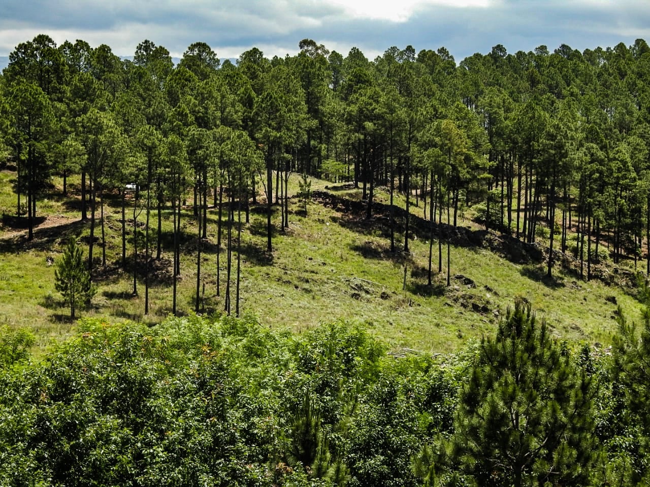 Desde lo alto de la montaña en Yacanto, así se ve San Miguel de los Ríos.