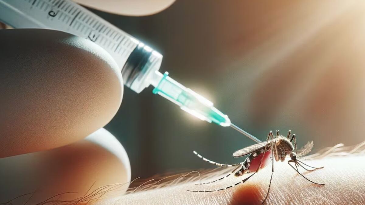 Vacuna contra el dengue gratis en la ciudad: ¿cómo inscribirse, cuándo y quiénes podrán aplicársela?