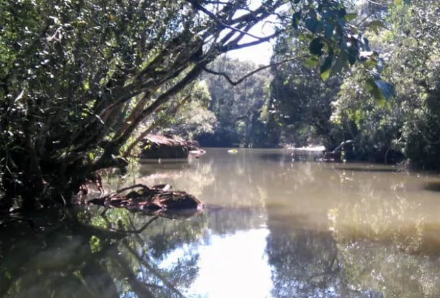 Intensa búsqueda de un joven en San Vicente.