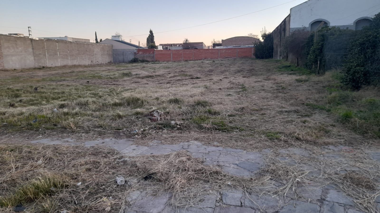 Higiene Urbana de Tres Arroyos limpió terrenos baldíos y basurales clandestinos