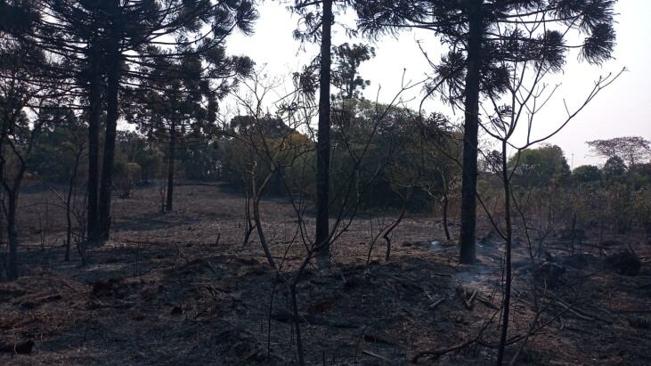 Las autoridades afirman que se mantienen algunos focos de incendio activos en la provincia.