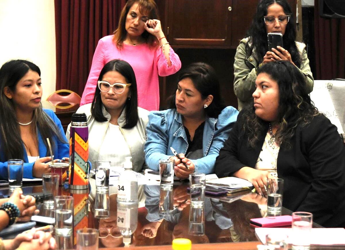 Unas cien mil personas vendrán a Jujuy al Encuentro de Mujeres en octubre