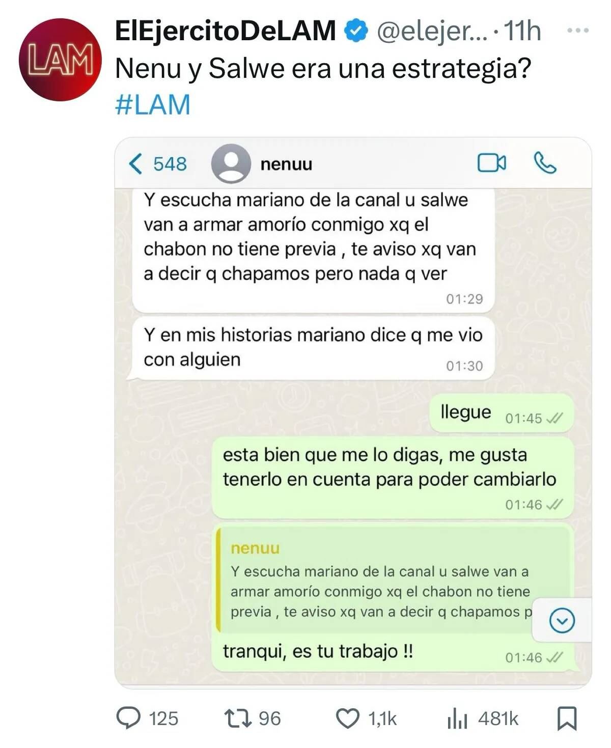 Captura de pantalla donde Nenu aclara que la relación con Martín es ficticia.