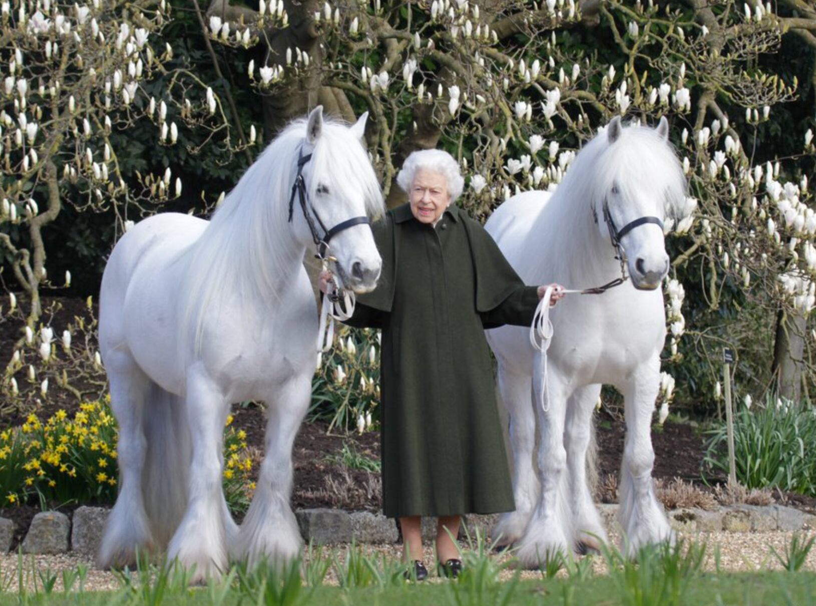 Reina Isabel II