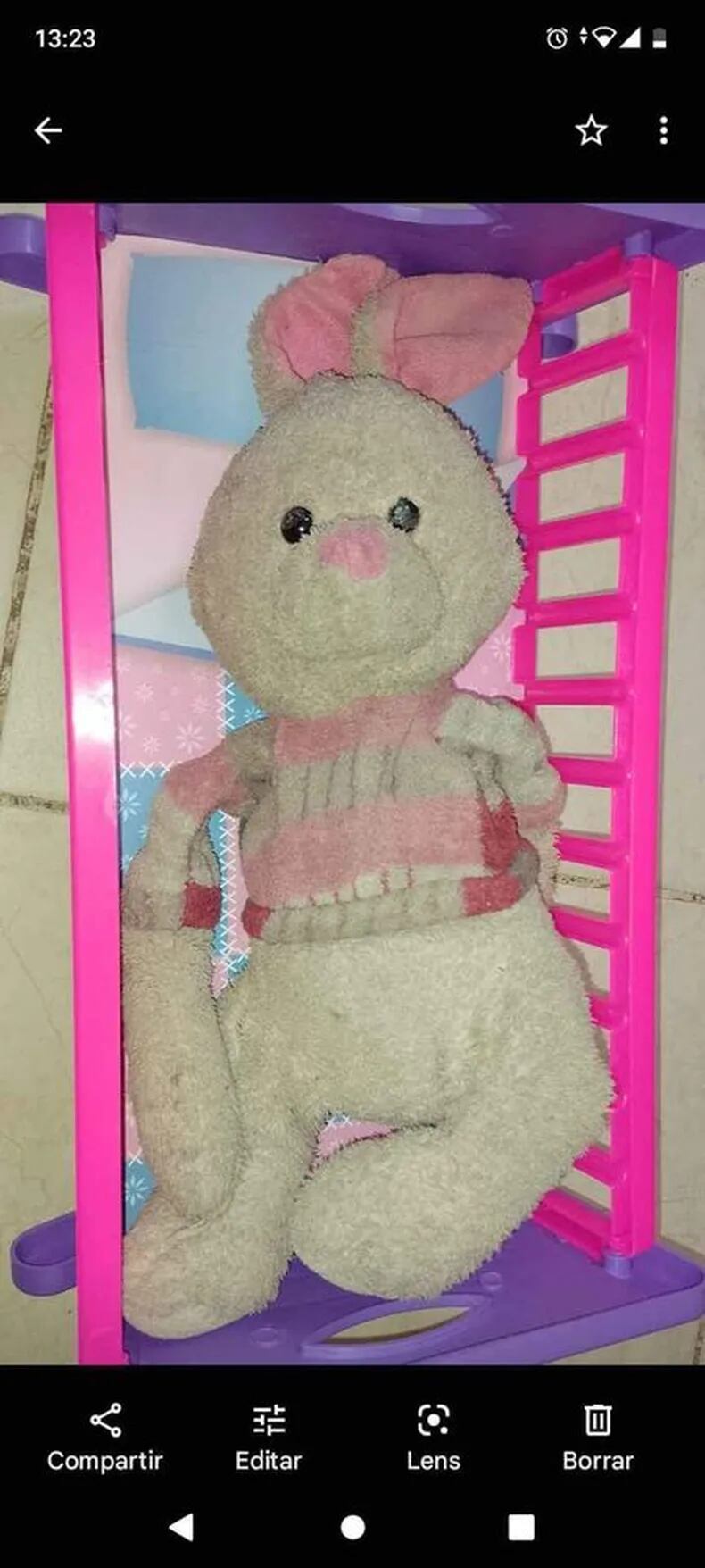 Sofía, una nena sanjuanina había perdido su conejo de peluche y una usuaria de las redes sociales le entregó uno similar que era de sus hijas.