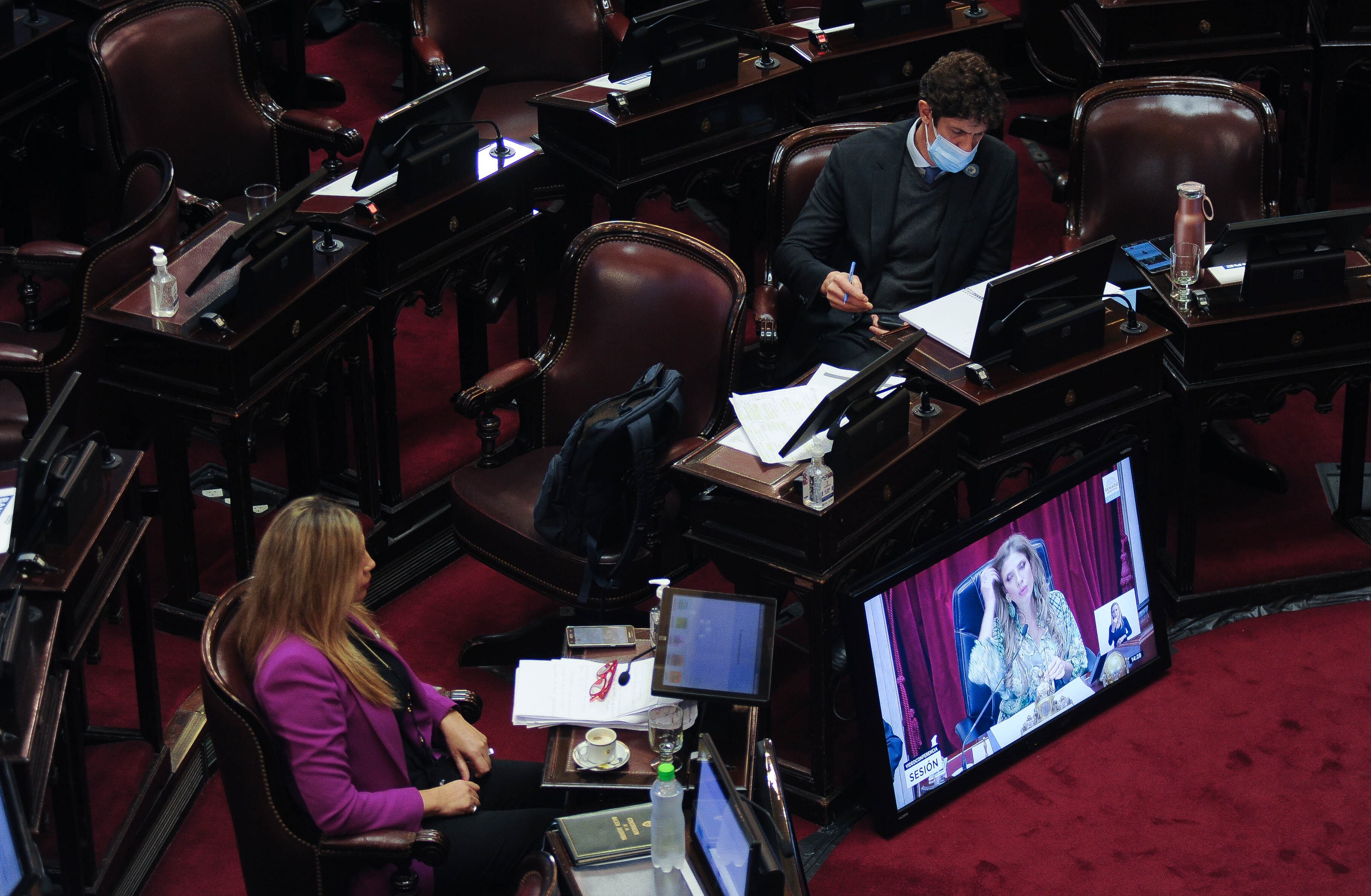 Martin Lousteau en el Senado