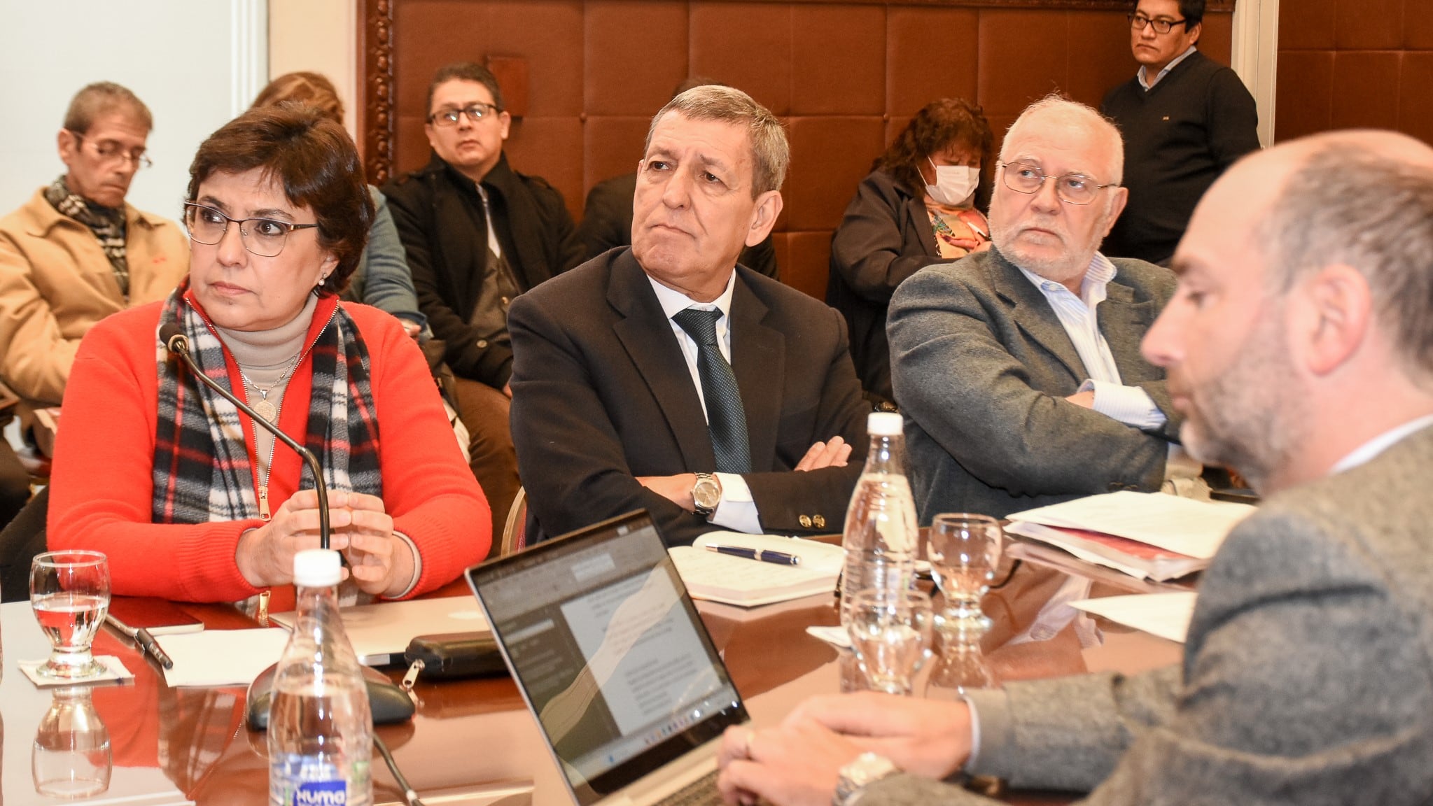 La convencional Isolda Calsina, presidente de la comisión, junto a los convencionales Alejandro Nieva, Guillermo Jenefes y Mariano Zurueta, escuchan la exposición de la constitucionalista María Angélica Gelli.