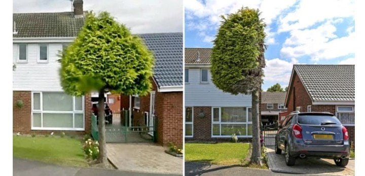 Así quedó el árbol de la pequeña localidad de Waterthorpe