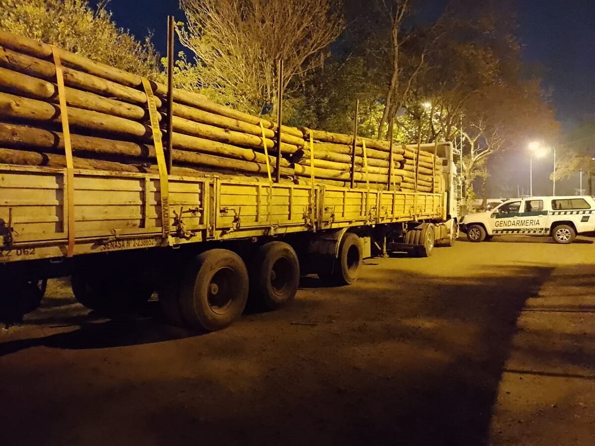 Incautan mega contrabando de marihuana transportado en un semirremolque en Montecarlo.