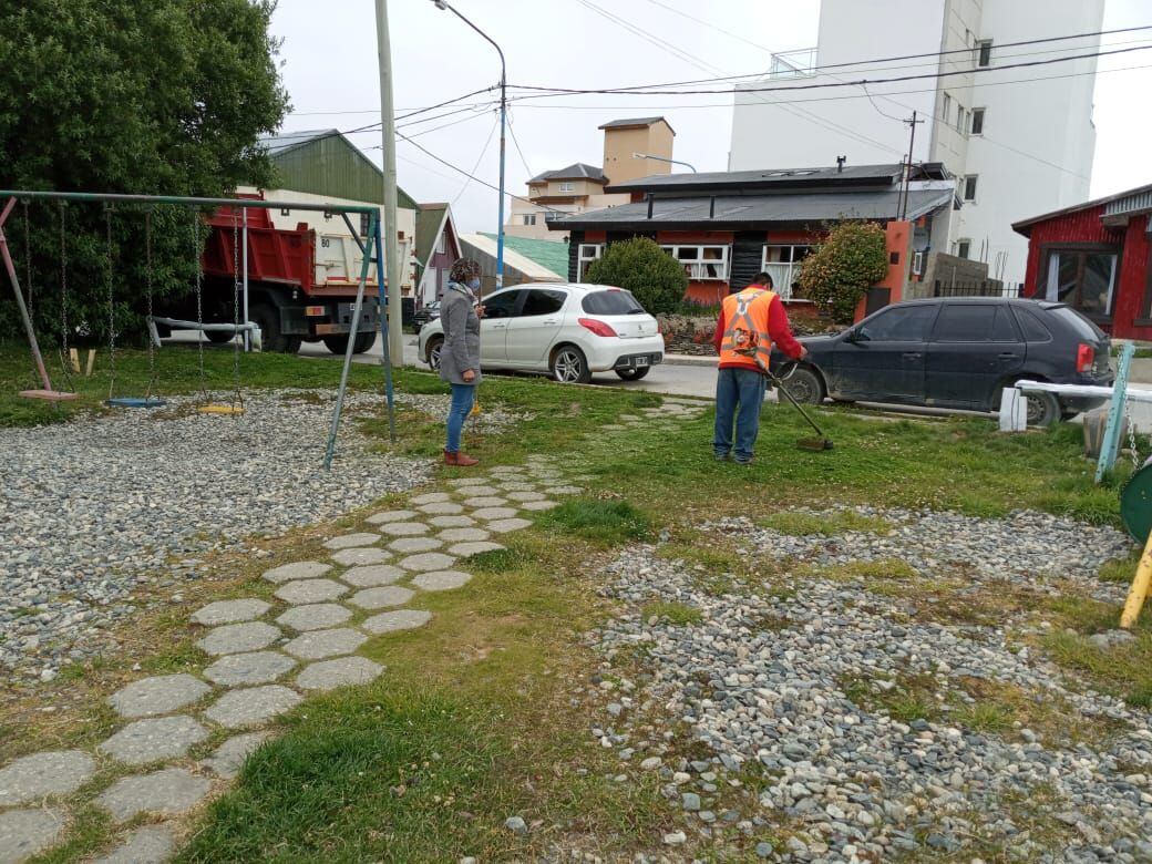 Hervias, destacó que “en un primer momento armaron la huerta en la placita del barrio y  luego replicaron lo aprendido en sus casas”.