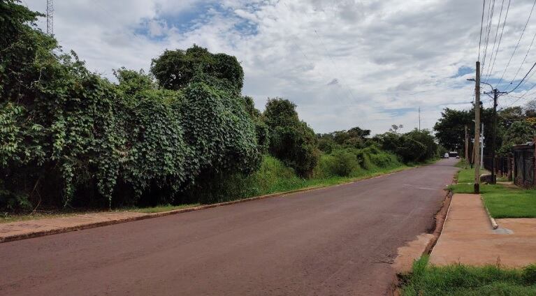 Puerto Iguazú: preocupación por baldíos en abandono.