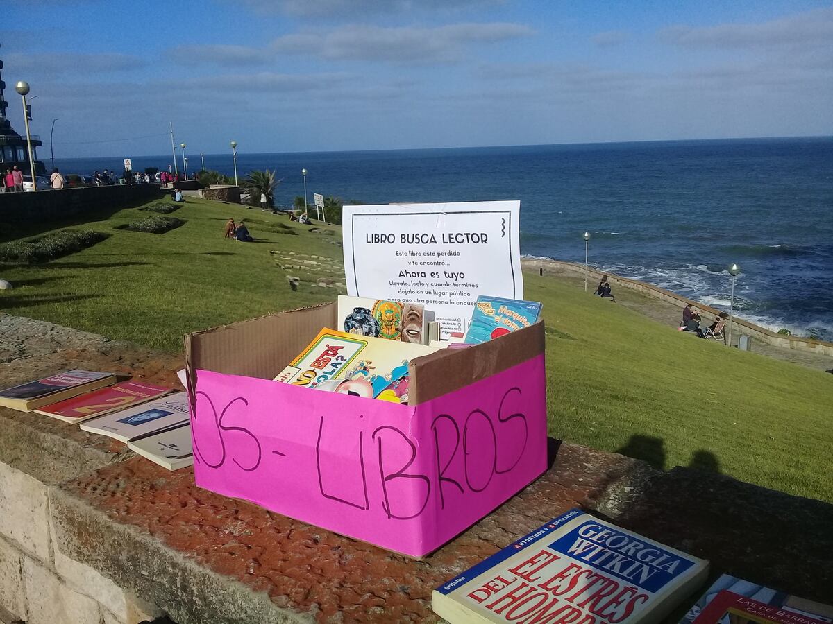 Llega la primavera y Mar del Plata florecerán libros en más de cien lugares públicos